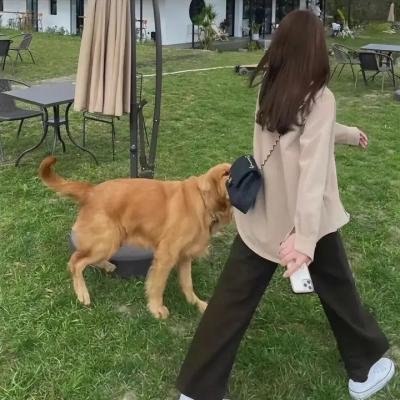 万尼亚在42街口