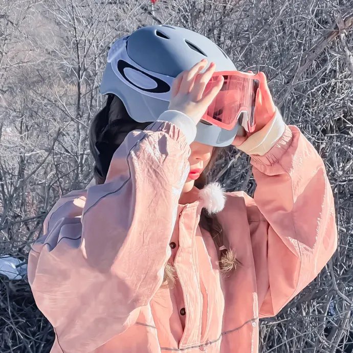 最狂野的梦想:征服珠峰